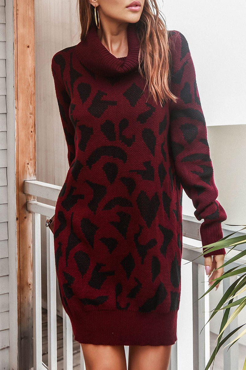 Casual Print Contrast Turtleneck Dresses Sweater