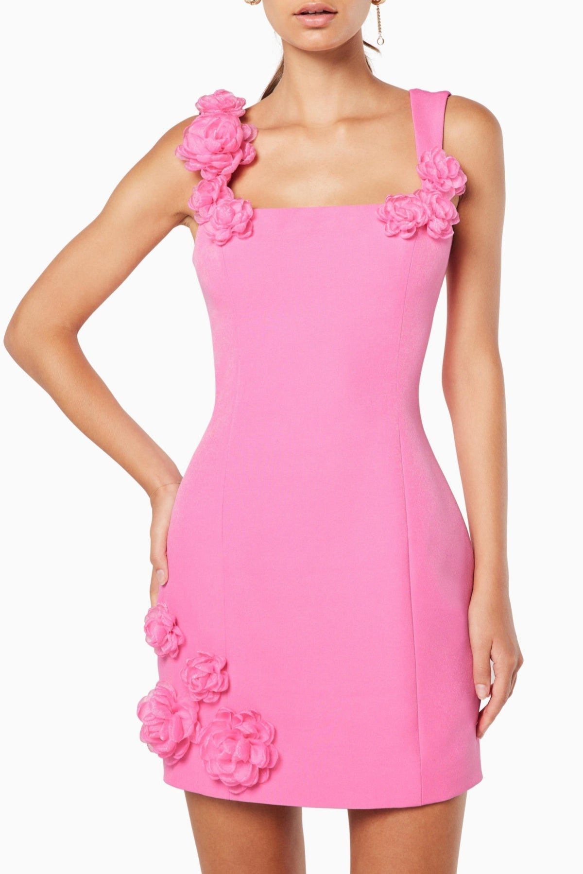 Dilanne Floral Appliqué Mini Dress - Pink