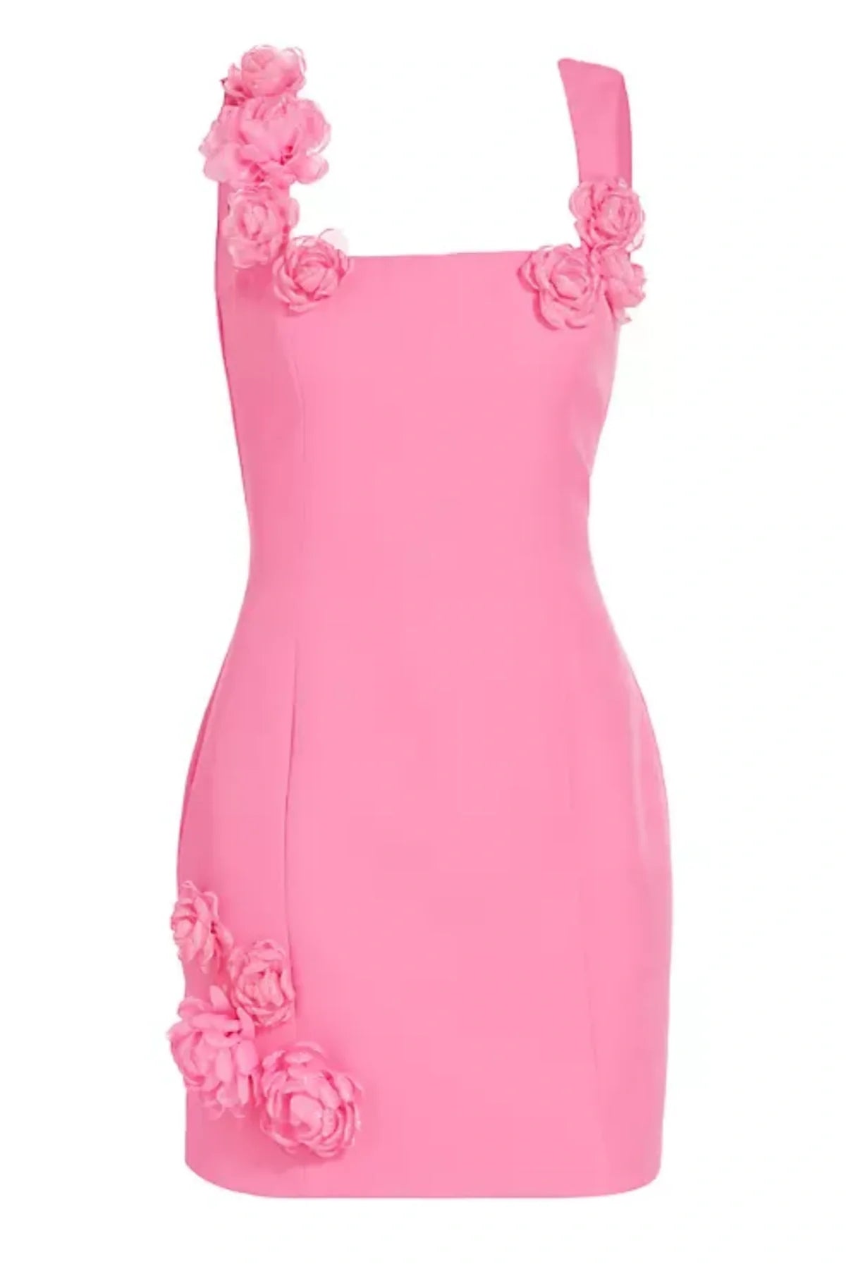 Dilanne Floral Appliqué Mini Dress - Pink