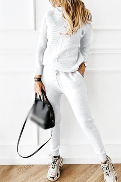 Casual Solid Solid Color Turtleneck Long Sleeve Two Pieces(9 Colors)