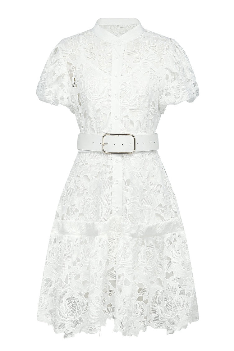 Calista Lace-embroidered Belted Mini Dress