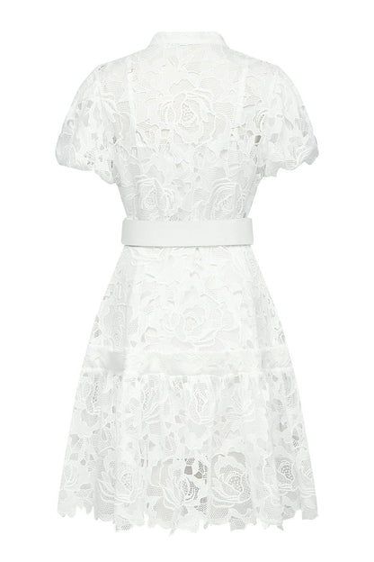 Calista Lace-embroidered Belted Mini Dress
