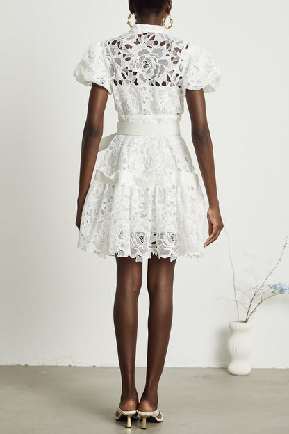 Calista Lace-embroidered Belted Mini Dress