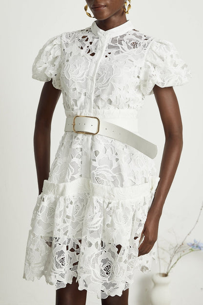 Calista Lace-embroidered Belted Mini Dress