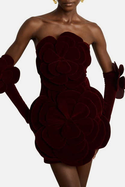Kerio Floral Appliqué Velvet Mini Dress - Red