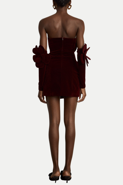Kerio Floral Appliqué Velvet Mini Dress - Red