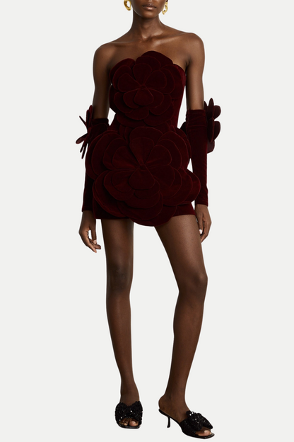 Kerio Floral Appliqué Velvet Mini Dress - Red