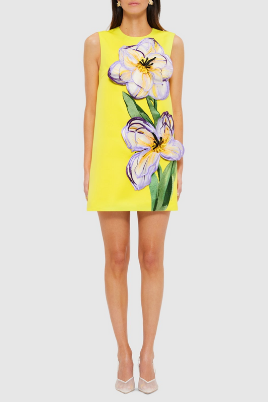 Mimoza Floral Appliqué Sleeveless Mini Dress - Yellow