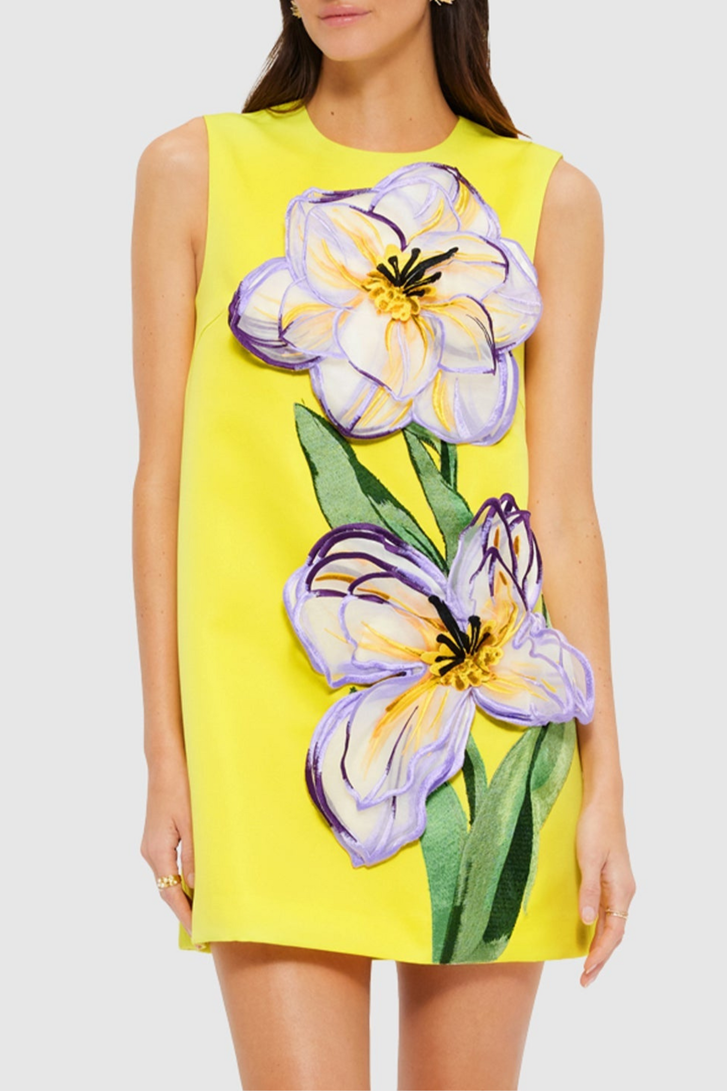 Mimoza Floral Appliqué Sleeveless Mini Dress - Yellow