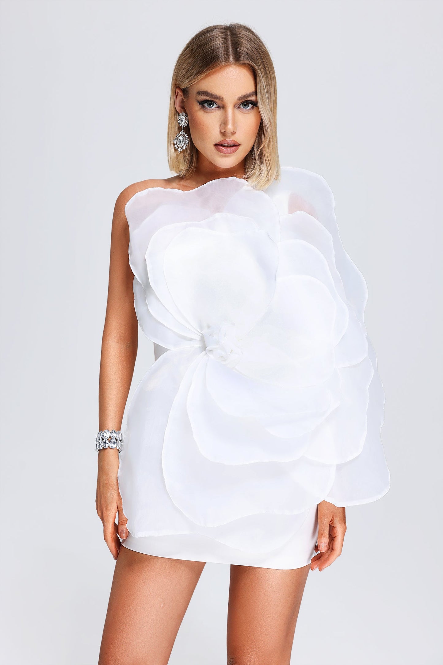 Kylie Mesh Floral Mini Tube Dress