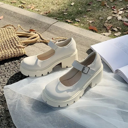Chunky Platform Mary Jane Shoes