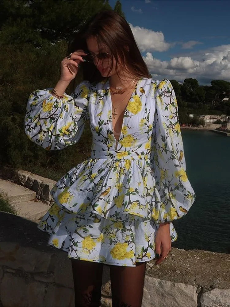 Print Ruffle Long Sleeve A-Line Mini Dress