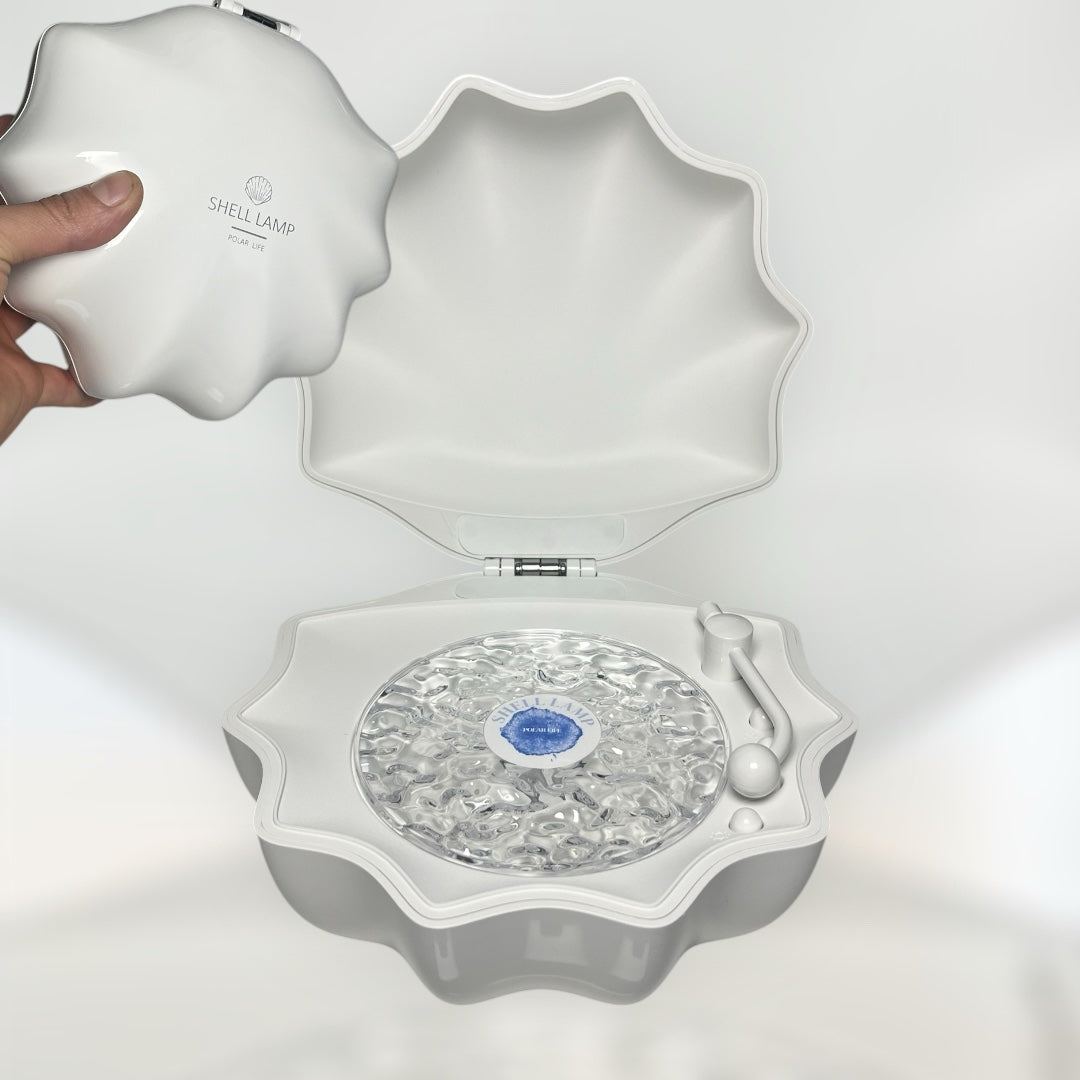 Aurora Lights Sea Shell Speaker