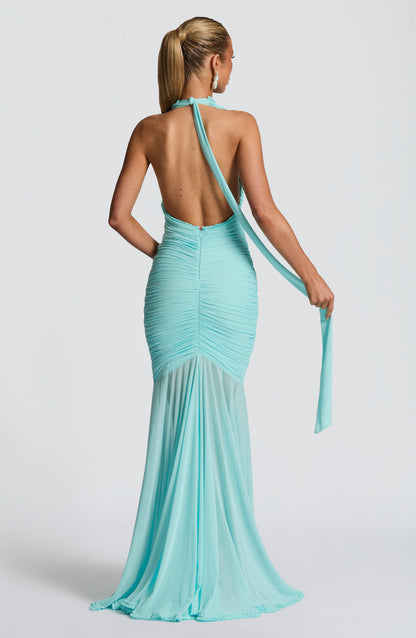 Serena - Mesh Maxi Dress